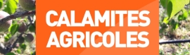 Reconnaissance Calamité Agricole